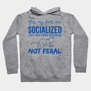 Homeschool Kids - Not Feral Hoodie